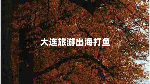 大連旅游出海打魚