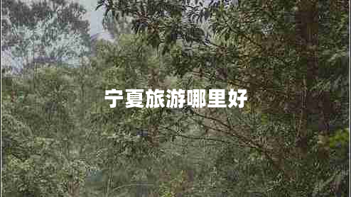 寧夏旅游哪里好