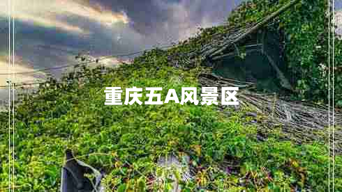 重慶五A風(fēng)景區(qū)