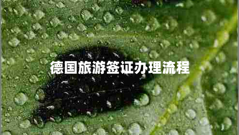 德國(guó)旅游簽證辦理流程