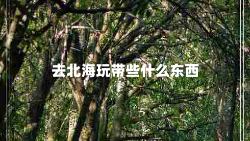 去北海玩帶些什么東西