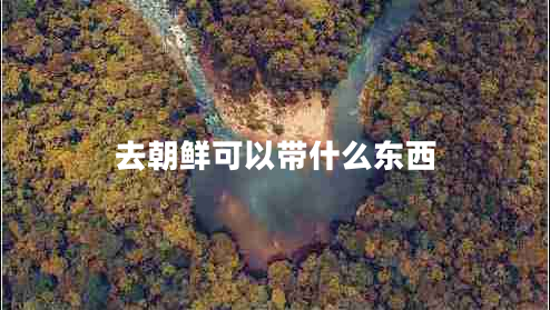 去朝鮮可以帶什么東西