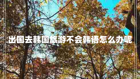 出國去韓國旅游不會(huì)韓語怎么辦呢