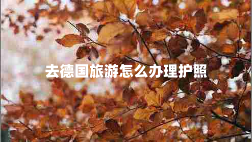 去德國(guó)旅游怎么辦理護(hù)照