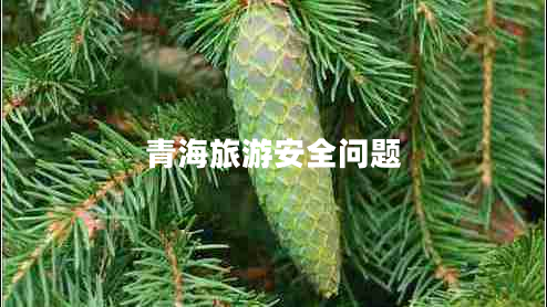 青海旅游安全問題