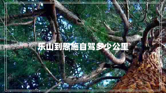 樂山到恩施自駕多少公里