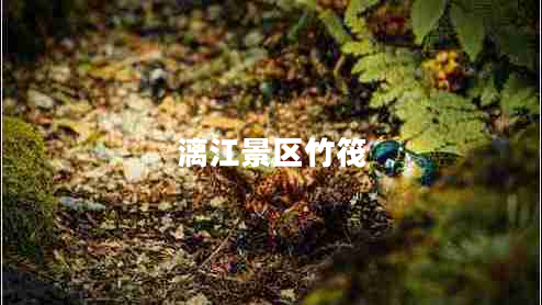 漓江景區(qū)竹筏