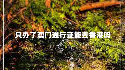 只辦了澳門通行證能去香港嗎