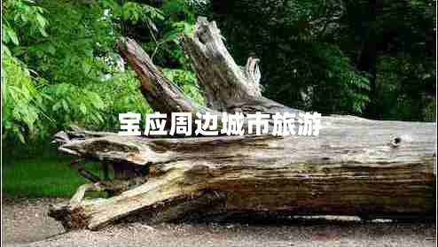 寶應周邊城市旅游 寶應周邊城市旅游