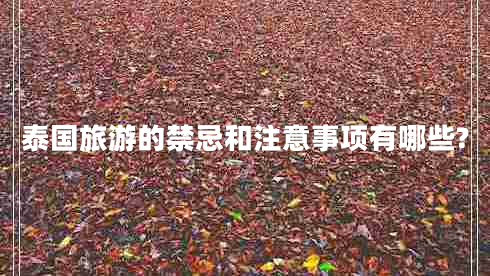 泰國旅游的禁忌和注意事項有哪些? 泰國旅游的禁忌和注意事項有哪些?