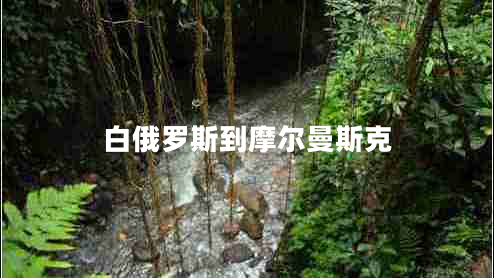 白俄羅斯到摩爾曼斯克