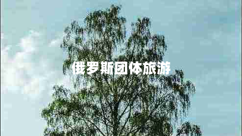 俄羅斯團體旅游