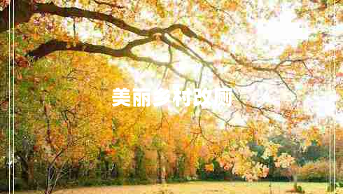 美麗鄉(xiāng)村改廁