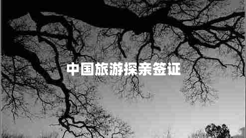 中國(guó)旅游探親簽證