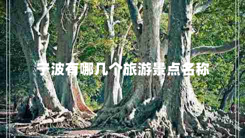 寧波有哪幾個旅游景點名稱 寧波有哪幾個旅游景點名稱