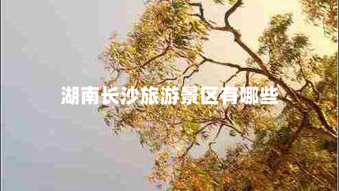 湖南長(zhǎng)沙旅游景區(qū)有哪些
