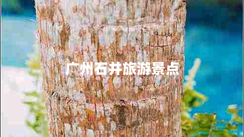 廣州石井旅游景點