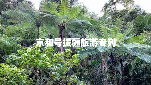 京和號援疆旅游專列