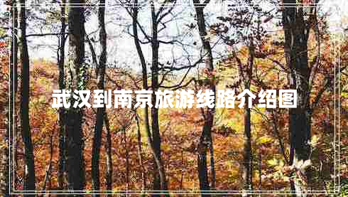 武漢到南京旅游線路介紹圖