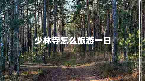 少林寺怎么旅游一日