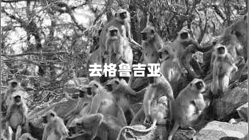 去格魯吉亞 去格魯吉亞