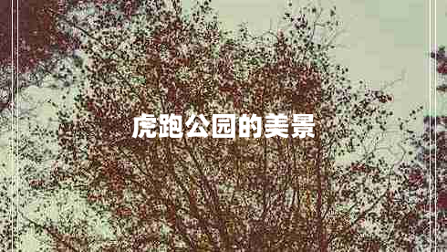 虎跑公園的美景