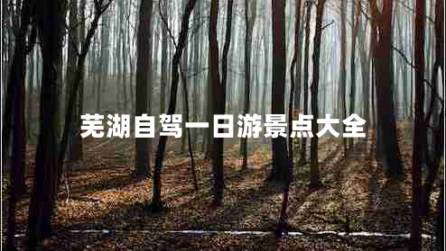 蕪湖自駕一日游景點大全