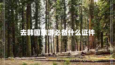 去韓國(guó)旅游必備什么證件