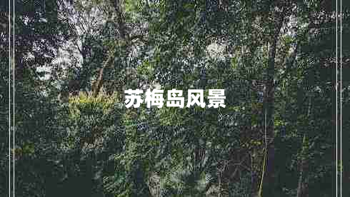 蘇梅島風景