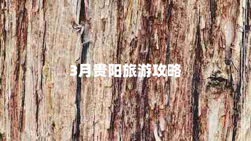 3月貴陽(yáng)旅游攻略