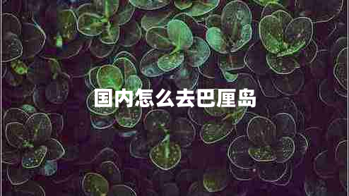 國內怎么去巴厘島