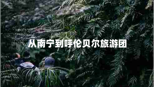 從南寧到呼倫貝爾旅游團(tuán)