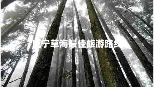 威寧草海最佳旅游路線