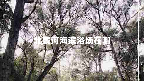 北戴河海濱浴場在哪