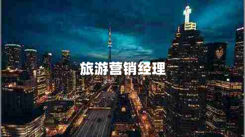旅游營銷經(jīng)理