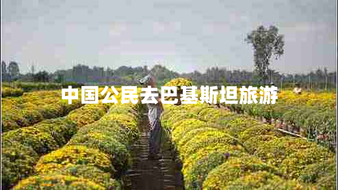 中國公民去巴基斯坦旅游 中國公民去巴基斯坦旅游