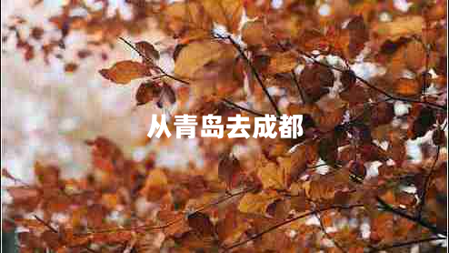 從青島去成都 從青島去成都