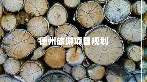 德州旅游項(xiàng)目規(guī)劃 德州旅游項(xiàng)目規(guī)劃