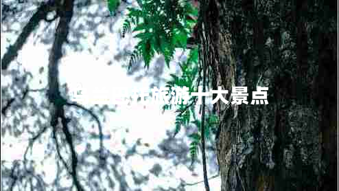 烏蘭巴托旅游十大景點(diǎn)