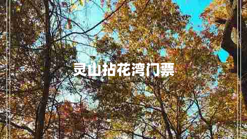 靈山拈花灣門票