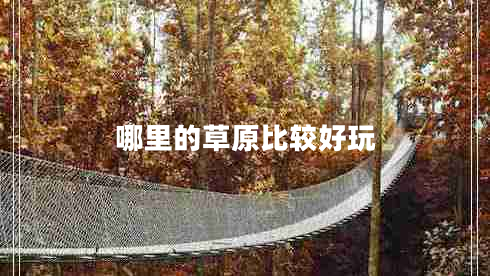 哪里的草原比較好玩