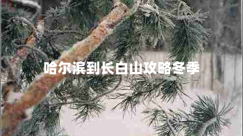 哈爾濱到長白山攻略冬季