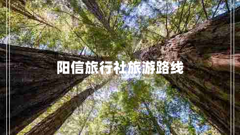 陽信旅行社旅游路線