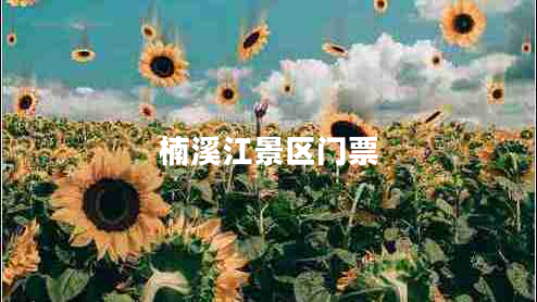 楠溪江景區(qū)門票