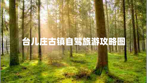 臺兒莊古鎮(zhèn)自駕旅游攻略圖