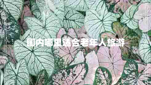 國內(nèi)哪里適合老年人旅游 國內(nèi)哪里適合老年人旅游