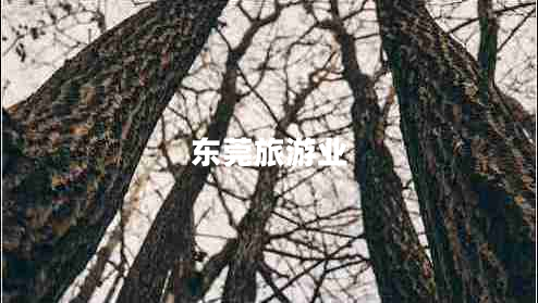 東莞旅游業(yè) 東莞旅游業(yè)