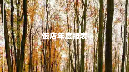 飯店年度報(bào)表 飯店年度報(bào)表