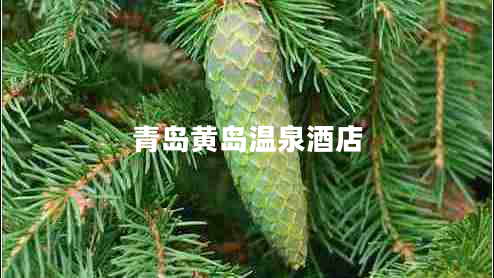 青島黃島溫泉酒店