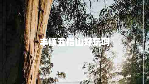 豐順五指山好玩嗎